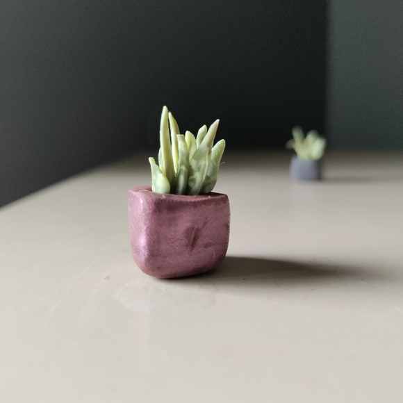4 Clay mini potted planters - Picture 5 of 7